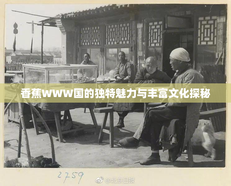 香蕉WWW国的独特魅力与丰富文化探秘