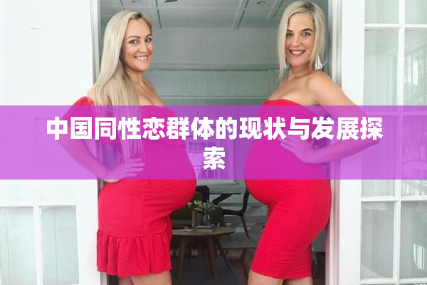 中国同性恋群体的现状与发展探索