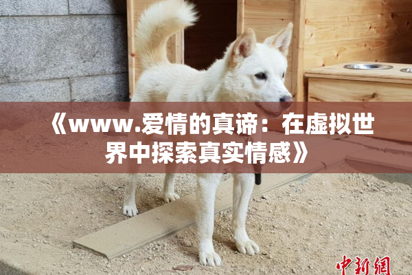 《www.爱情的真谛：在虚拟世界中探索真实情感》