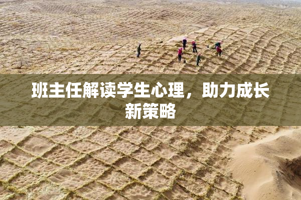 班主任解读学生心理，助力成长新策略