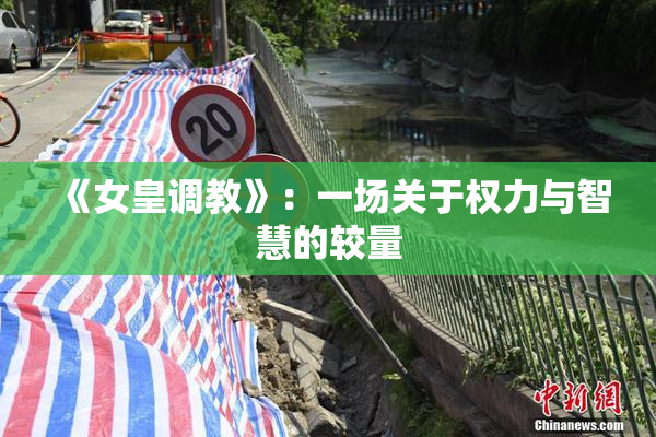 《女皇调教》：一场关于权力与智慧的较量