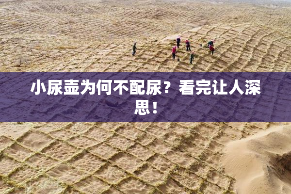 小尿壶为何不配尿？看完让人深思！