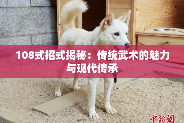 108式招式揭秘：传统武术的魅力与现代传承