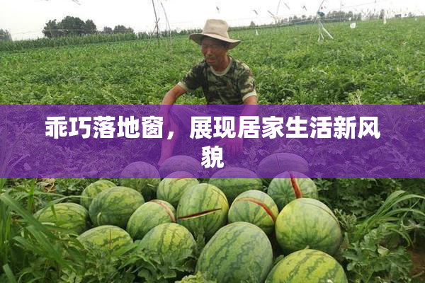 乖巧落地窗，展现居家生活新风貌