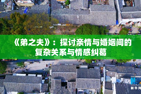 《弟之夫》：探讨亲情与婚姻间的复杂关系与情感纠葛