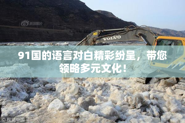 91国的语言对白精彩纷呈，带您领略多元文化！