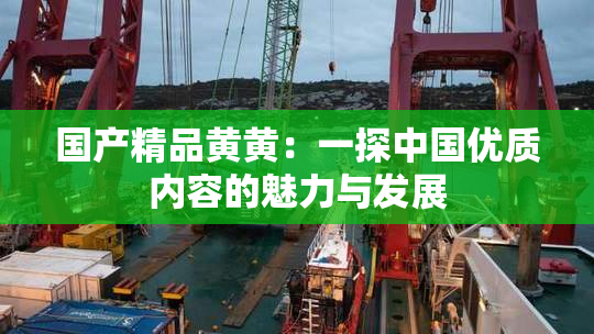 国产精品黄黄：一探中国优质内容的魅力与发展