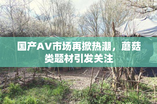 国产AV市场再掀热潮，蘑菇类题材引发关注
