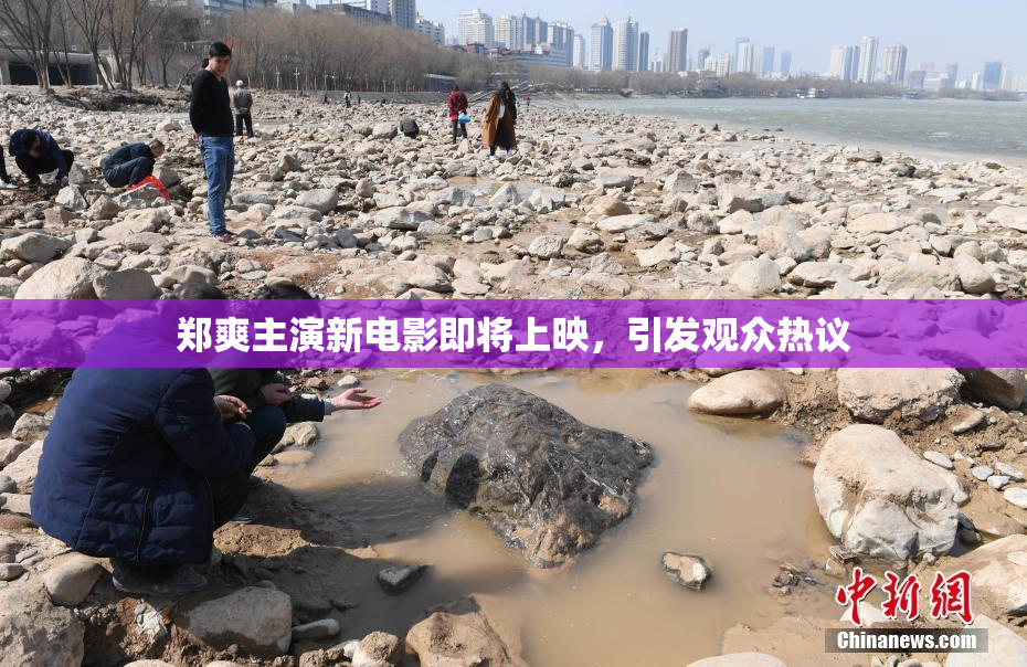 郑爽主演新电影即将上映，引发观众热议