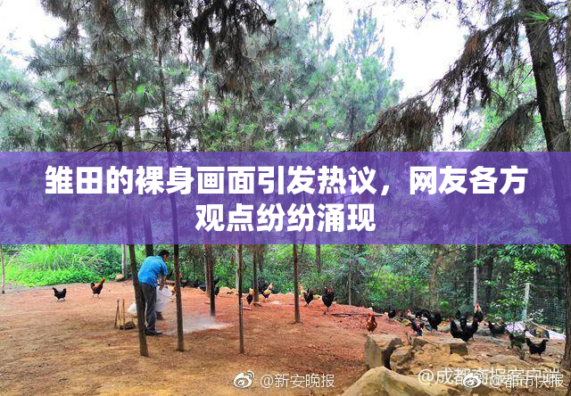 雏田的裸身画面引发热议，网友各方观点纷纷涌现