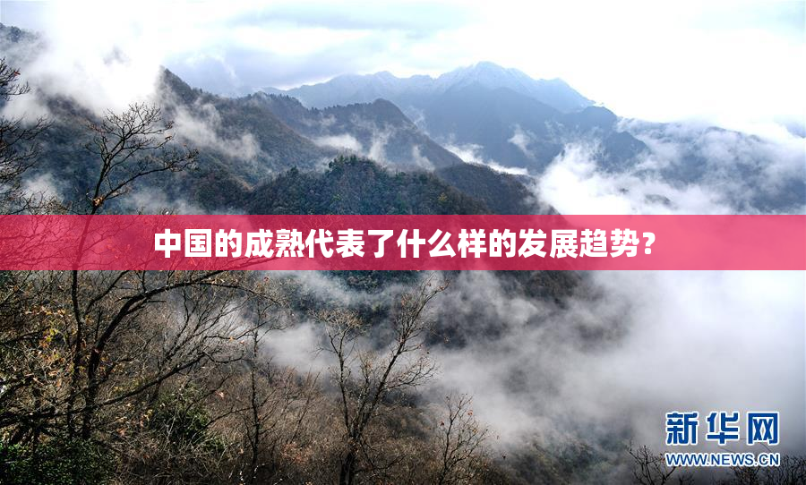 中国的成熟代表了什么样的发展趋势？