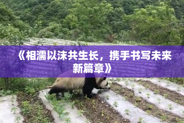 《相濡以沫共生长，携手书写未来新篇章》