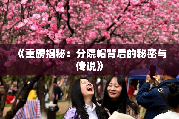 《重磅揭秘：分院帽背后的秘密与传说》