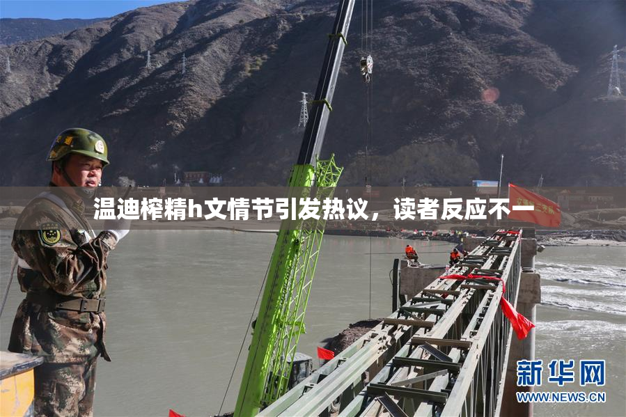 温迪榨精h文情节引发热议，读者反应不一