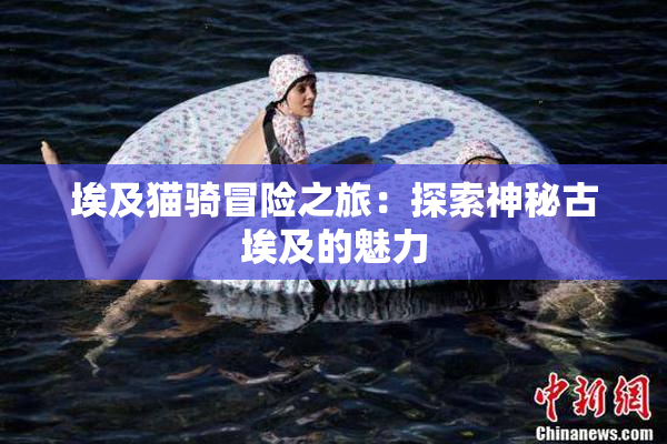 埃及猫骑冒险之旅：探索神秘古埃及的魅力