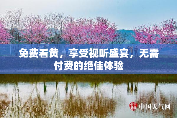 免费看黄，享受视听盛宴，无需付费的绝佳体验