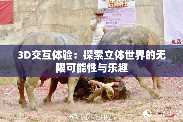 3D交互体验：探索立体世界的无限可能性与乐趣