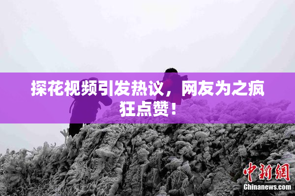 探花视频引发热议，网友为之疯狂点赞！