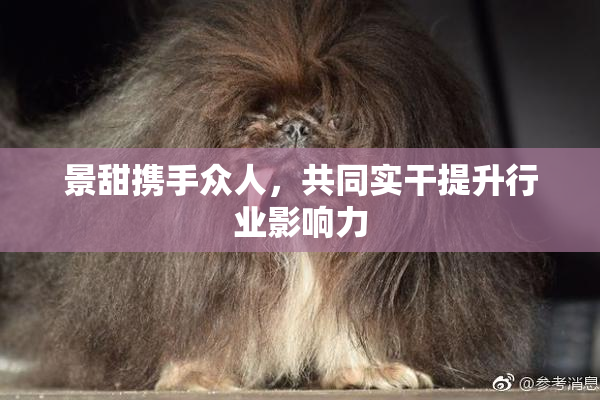 景甜携手众人，共同实干提升行业影响力