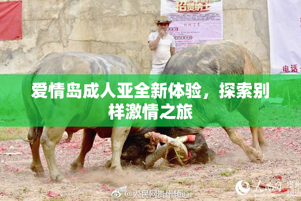 爱情岛成人亚全新体验，探索别样激情之旅