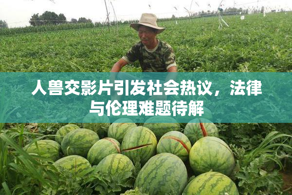 人兽交影片引发社会热议，法律与伦理难题待解