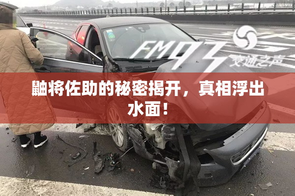 鼬将佐助的秘密揭开，真相浮出水面！