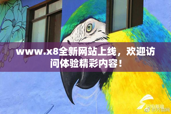 www.x8全新网站上线，欢迎访问体验精彩内容！
