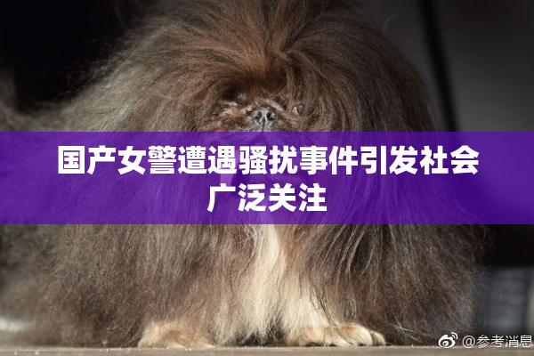 国产女警遭遇骚扰事件引发社会广泛关注