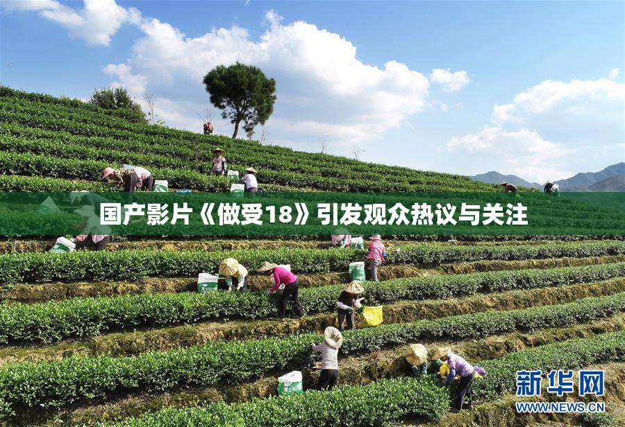 国产影片《做受18》引发观众热议与关注