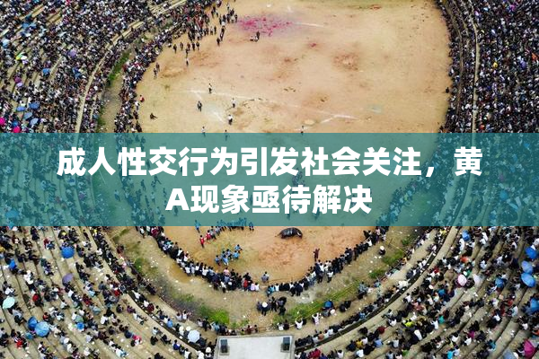 成人性交行为引发社会关注，黄A现象亟待解决