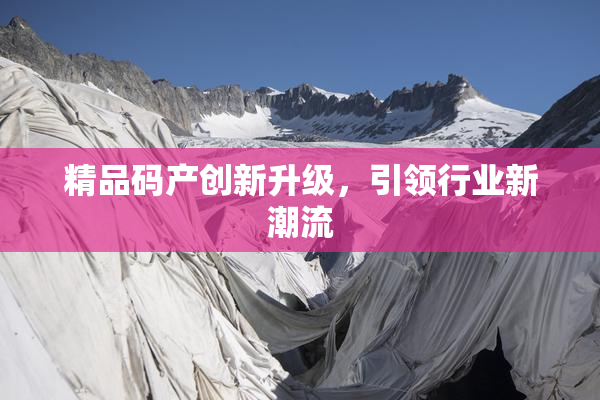 精品码产创新升级，引领行业新潮流