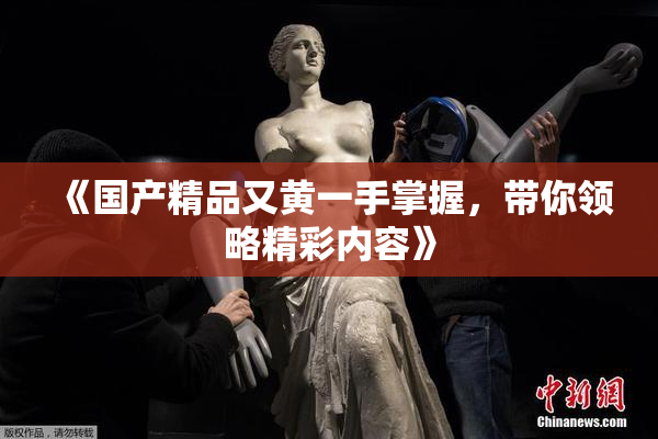 《国产精品又黄一手掌握，带你领略精彩内容》