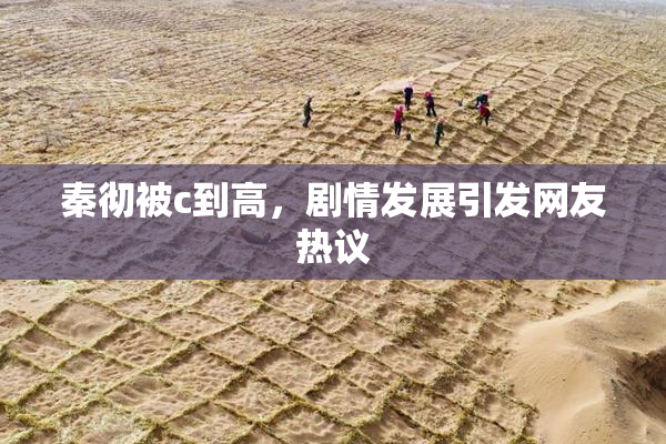 秦彻被c到高，剧情发展引发网友热议