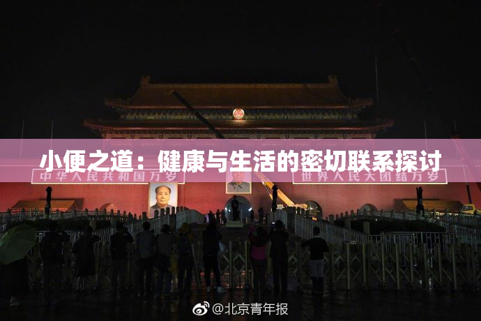 小便之道：健康与生活的密切联系探讨