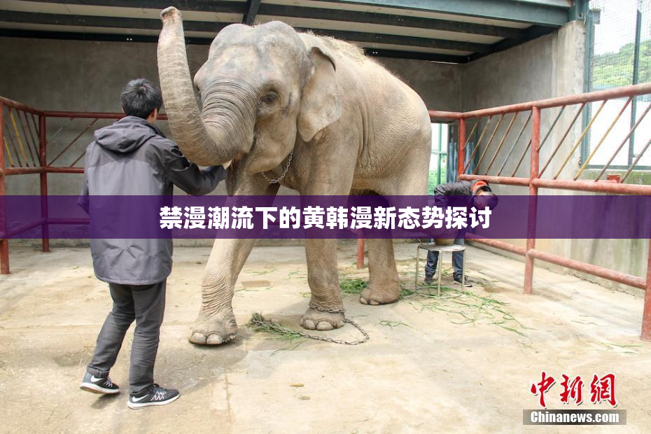 禁漫潮流下的黄韩漫新态势探讨