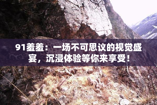 91羞羞：一场不可思议的视觉盛宴，沉浸体验等你来享受！