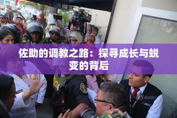 佐助的调教之路：探寻成长与蜕变的背后