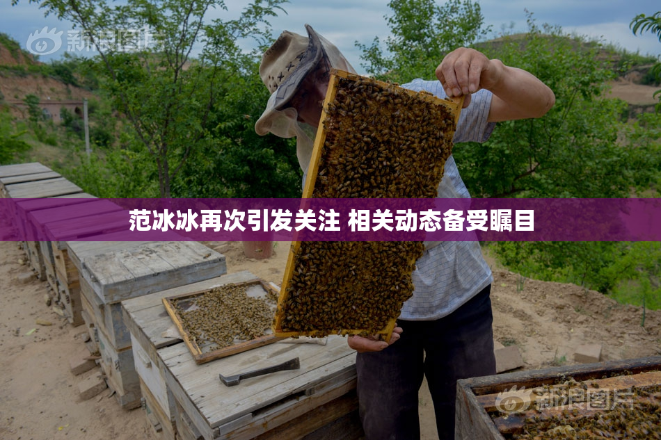 范冰冰再次引发关注 相关动态备受瞩目