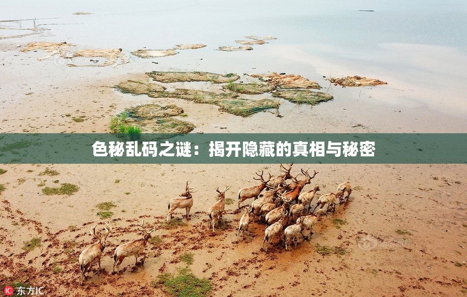 色秘乱码之谜：揭开隐藏的真相与秘密