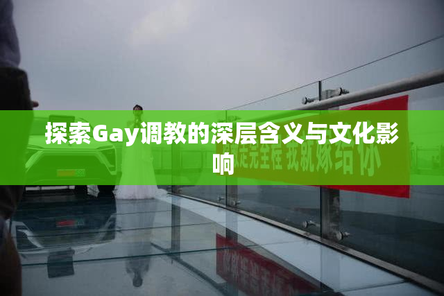 探索Gay调教的深层含义与文化影响