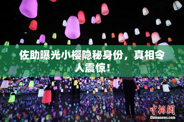 佐助曝光小樱隐秘身份，真相令人震惊！