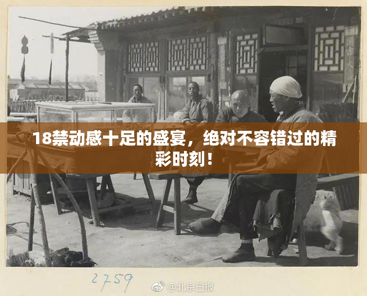 18禁动感十足的盛宴，绝对不容错过的精彩时刻！