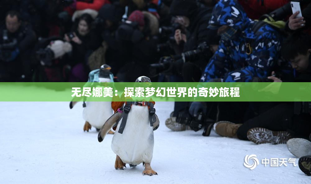 无尽娜美：探索梦幻世界的奇妙旅程
