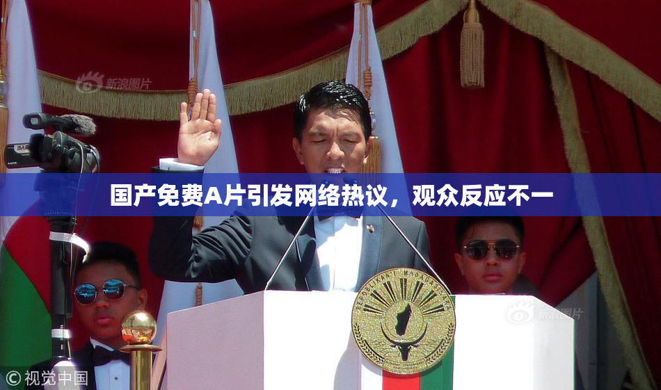 国产免费A片引发网络热议，观众反应不一