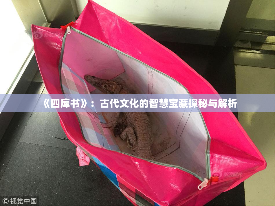 《四库书》：古代文化的智慧宝藏探秘与解析