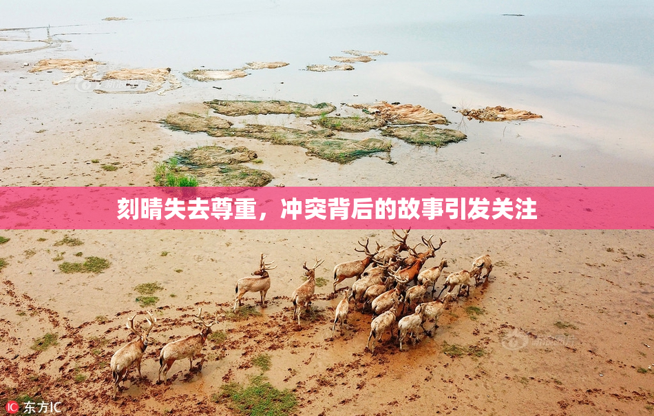 刻晴失去尊重，冲突背后的故事引发关注