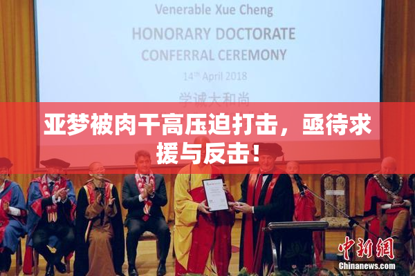 亚梦被肉干高压迫打击，亟待求援与反击！