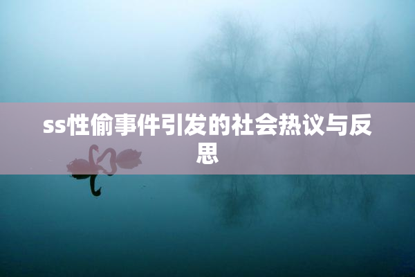ss性偷事件引发的社会热议与反思
