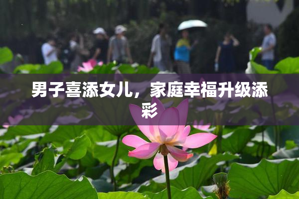 男子喜添女儿，家庭幸福升级添彩