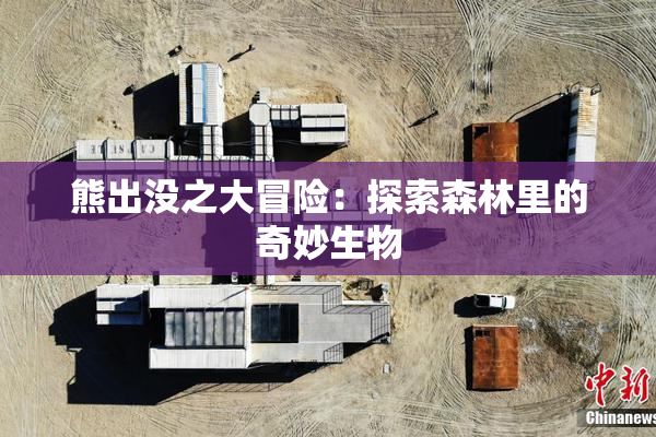 熊出没之大冒险：探索森林里的奇妙生物